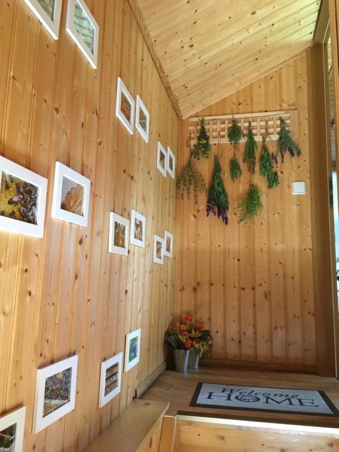 Ferienhaus Beim Imker Marienberg Buitenkant foto